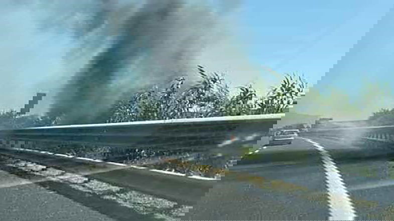 Villapiana, appicca fuoco sulla Statale 106: piromane colto in flagranza di reato