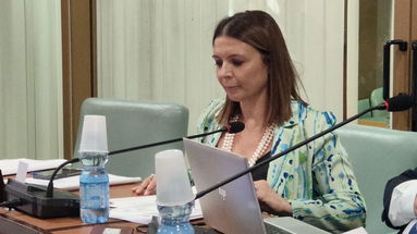 Sicurezza, Madeo: «Co-Ro non è il far west, ma doveroso affrontare il tema nel prossimo Consiglio comunale»