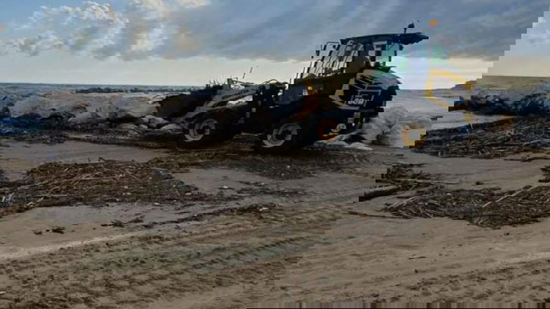 «Spiagge stuprate dalle ruspe. La pulizia deve essere effettuata manualmente»