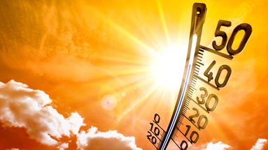Calabria rovente, superati i 38 gradi. «Serve più verde urbano per ridurre le temperature in città»