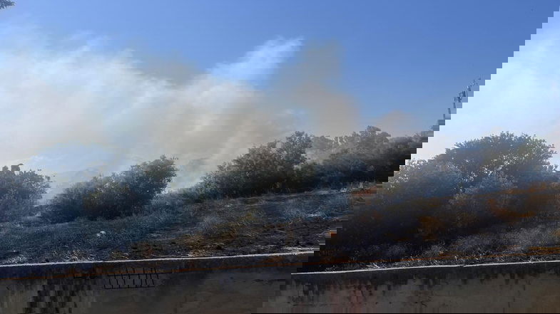 Vasto incendio a Marina di Sibari minaccia un centro turistico-residenziale