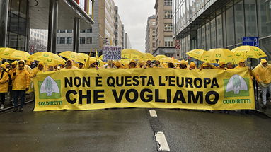 Pac, Coldiretti Calabria: «No al fondo unico proposto dall'Europa» 