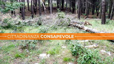 La polveriera della Sila Greca arriva sui tavoli della Procura della Repubblica