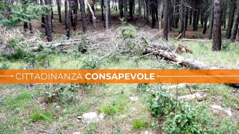 La polveriera della Sila Greca arriva sui tavoli della Procura della Repubblica