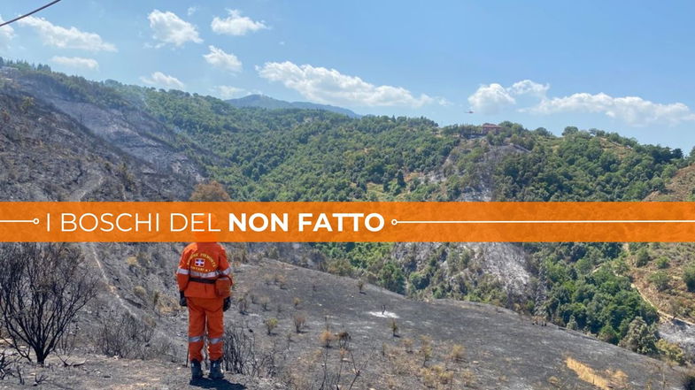 Pulizia dei boschi, c’è una norma che nella Sila Greca resta inapplicata