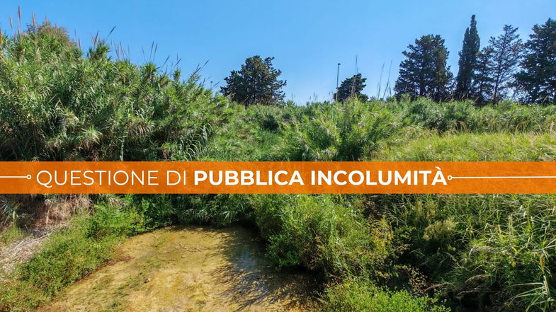 Nel fosso Frascone c'è una diga di sterpaglie. Un temporale potrebbe trasformarsi in un disastro