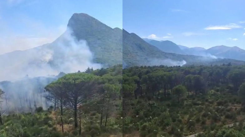 Castrovillari, bruciano ettari di macchia mediterranea: sul posto anche i canadair