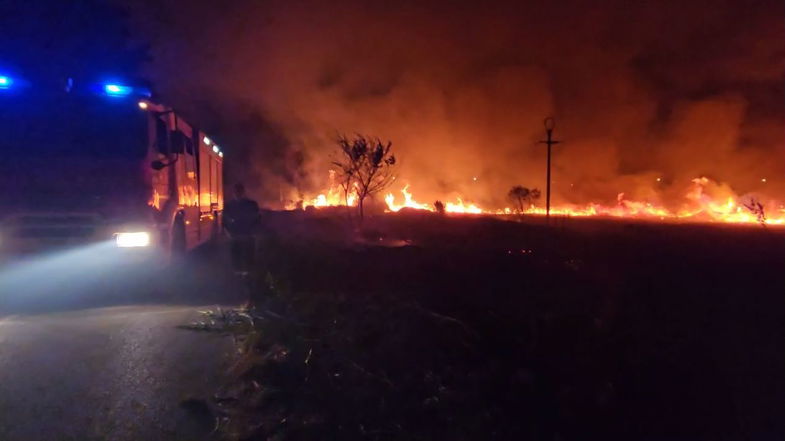 Paura nella notte a Gammicella-Seggio: incendio lambisce alcune abitazioni
