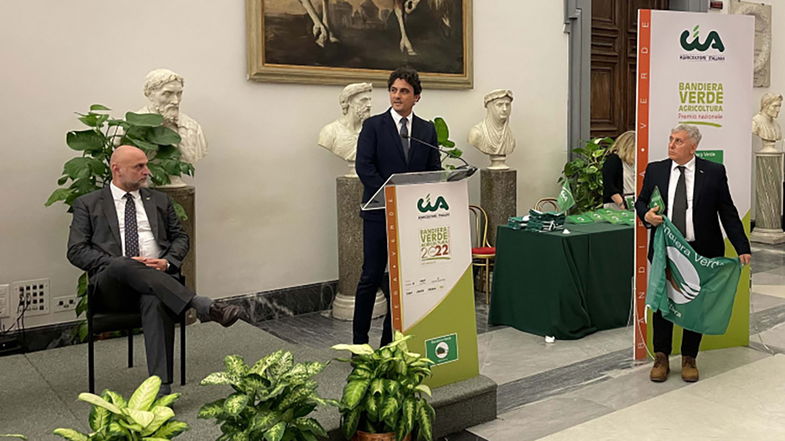 Ricerca e innovazione, la radice di liquirizia rivoluziona la bioedilizia