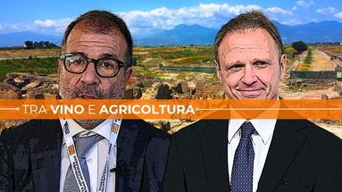 Anche Il Ministro Lollobrigida al Vinitaly nel Parco Archeologico di Sybaris