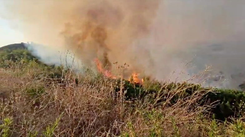 Domenica di fuoco nella Sila Greca: diversi incendi hanno devastato diversi ettari di territorio