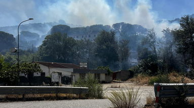 Ancora un incendio nel parco delle Terme (abbandonate) di Spezzano Albanese