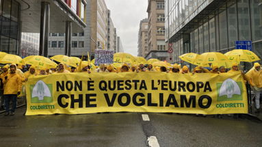 Oltre 65mila aziende agricole calabresi colpite dal taglio della PAC 2028-2034 