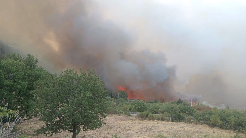 Immenso incendio tra Villapiana e Plataci: situazione critica