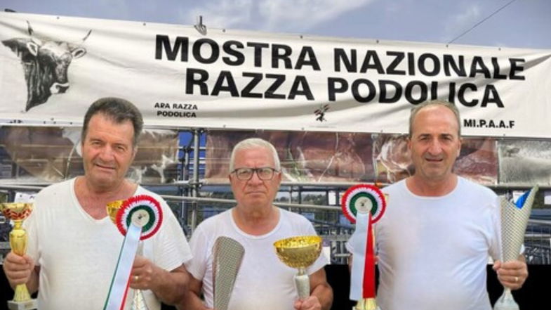 Scala Coeli regina della podolica: trionfo nazionale per l’allevamento Pisano