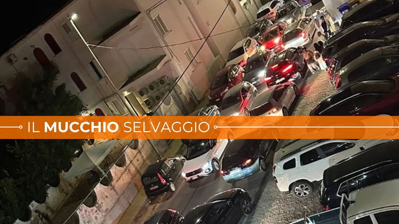 Schiavonea, viabilità nel caos e multe come se piovesse
