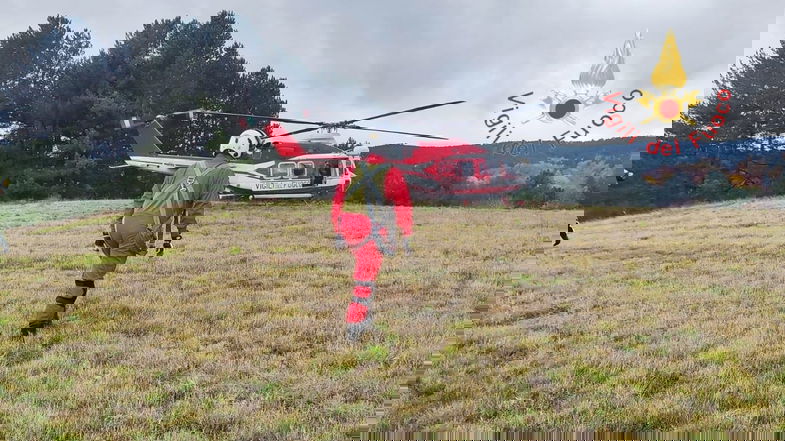 Si perde nei boschi di Camigliatello mentre cerca funghi: salvato dopo ore di paura